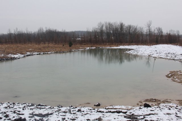 The pond in early winter Walker Wetlands